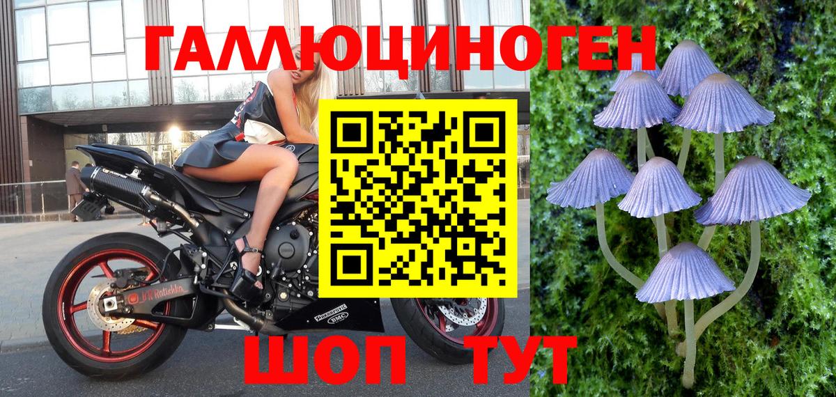 Галлюциногенные грибы Psilocybine cubensis  Вход с VPN  Псилоцибиновые грибы Magic Shrooms  Чернушка 